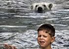 Любителям проверить свои нервы на прочность. Канадцы предлагают искупаться в бассейне с белыми медведями. Фото