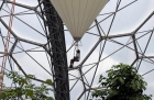 Ботанический сад в Санкт-Остелле обслуживает садовник … на воздушном шаре. Фото