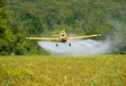 Минэконологии будет спасать Украину от пестицидов