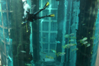 Любитель рыбок построил аквариум за 13 миллионов евро. Фото