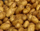 Идею делать топливо из картошки оценят ученые. Не дай бог