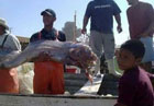 Мексиканские рыбаки выловили из морских глубин необычное существо. Фото