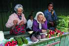 Возрадуемся. Впервые за долгое время овощи на украинских рынках подешевели