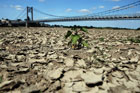 Францию охватила сильнейшая за последние 50 лет засуха. Фото