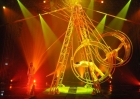 В Киев на фестиваль съедутся циркачи из девяти стран. Не пропустите