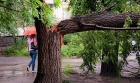 Последствия ливней в Луганске могут напугать кого угодно. Фото