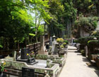 Любимый храм большинства современных самураев. Фото