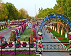 Самый большой в мире цветочный парк. Очень красивые фото