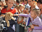 Одесский зоопарк устроил акцию «Погладь льва». Жертв нет. Фото