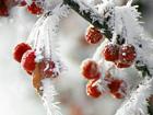 Специалисты прогнозируют, что зима в Украине начнется в конце ноября