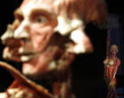 «Доктор Смерть» со своими экспонатами заставил римлян ужаснуться. Фото