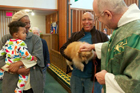 Американские священники благословили кроликов, коз и собачек. Такие вот традиции. Фото