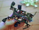 Американцы создали робота-таракана, который умеет карабкаться по ткани. Видео