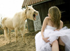 Иногда невесте на свадьбе лучше не наливать. Фото