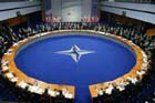 НАТО обещает заняться более важными делами, чем вторгаться в Сирию