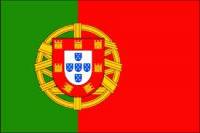В Португалии демонстранты пошли штурмом на парламент. Интересно, а наши чернобыльцы созреют на такой шаг?