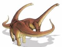 Танцуют все. Палеонтологи нашли останки крупнейшего динозавра в мире