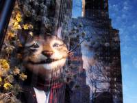 На что только не идут владельцы магазинов, чтобы под Новый год заработать побольше. Фото