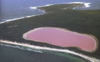Таинственное розовое озеро в Австралии. Фото