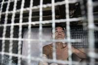 Как китайцы влачат жалкое существование в «собачьих клетках» в Гонконге. Фото