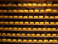 Присяжнюк заявил, что Украина делает шикарный сыр, а Россия у нас «балована»