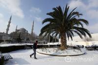 В Турции зеленые пальмы окутаны пушистым снегом, а в Румынии огромная пробка. Фото