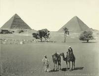 Нью-Йоркская библиотека опубликовала снимки Египта, которого больше нет. Фото