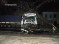 И снова суровый Николаев. Огромный грузовик врезался в деревья – водитель погиб на месте. Фото