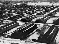 Польша готова поссориться с США из-за деревянных бараков узников Освенцима