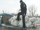Под Луганском массово жгли российских свиней