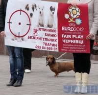 Украина требует прекратить убийства животных накануне Евро-2012
