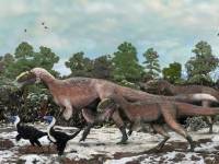 Палеонтологи откопали «пушистых» динозавров весом в полторы тонны. Зачем им перья – пока не ясно