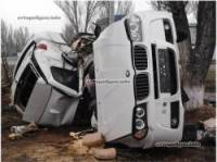 На Херсонщине BMW врезался в дерево. Погибли четверо молодых людей