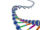 Ученые создали шесть искусственных ДНК. Возможности открываются такие, что лучше уж конец света?