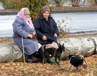 С 1 мая пенсионерам обещают набросить к пенсии по сто гривен