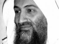 Amnesty International пришла к выводу, что бен Ладена можно было и не уничтожать