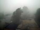 Ураган в Луганске вырывал деревья с корнями и срывал с домов крыши