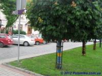 В честь Евро-2012 во Львове появилась аллея вязаных флагов