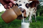 Кнопкодавы решили регулировать цены на молоко. Интересно, оно теперь просто подорожает или вообще исчезнет?