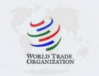 Уж сколько Россия не выкаблучивалась, а в ВТО наконец-то вступает...