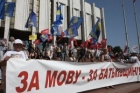 Правоохранители просят журналистов отдать им записи «языкового протеста» под Украинским домом