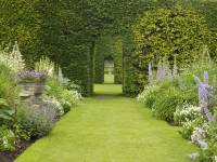 Британцы умудрились вырастить один из самых красивых садов на планете