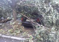 Ураган в Днепропетровске вырывал деревья и ломал автомобили