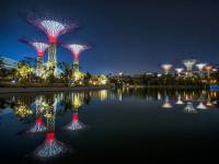 В Сингапуре появились уникальные супер-деревья