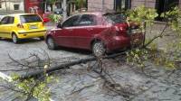 В Киеве деревья падают прямо на припаркованные автомобили