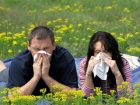 Каждый четвертый крымчанин ежегодно мучается от аллергии на пыльцу