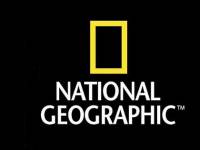 Нацсовет дал National Geographic три недели, чтобы привести в порядок рекламу. Иначе в Украине канал будет закрыт