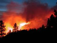 Во Франции лесные пожары достигли рекордных масштабов. Огонь охватил уже 900 гектаров леса
