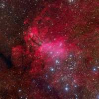 Астрономы показали всем желающим, как выглядит малоизвестная космическая туманность «Креветка»