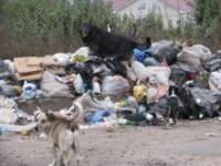 Экологи уверяют, что Украина на грани мусорного коллапса. Правда, чиновники из своих кабинетов никаких свалок не видят